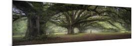 Walking on the trees avenue-Moises Levy-Mounted Giclee Print