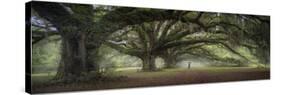 Walking on the trees avenue-Moises Levy-Stretched Canvas