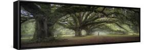 Walking on the trees avenue-Moises Levy-Framed Stretched Canvas