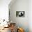 Walking Panda-FiledIMAGE-Photographic Print displayed on a wall