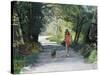 Walking the Dog-Gillian Furlong-Stretched Canvas