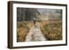 Walking the Dogs-Cora Niele-Framed Photographic Print