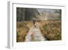 Walking the Dogs-Cora Niele-Framed Photographic Print