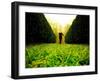 Walking through Garden Maze-Jan Lakey-Framed Photographic Print