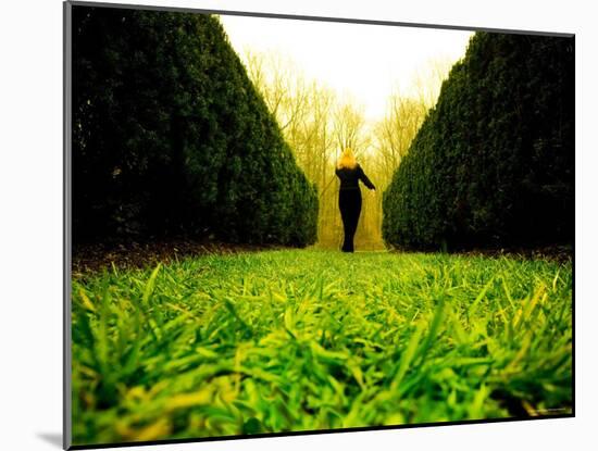 Walking through Garden Maze-Jan Lakey-Mounted Photographic Print