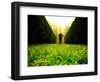 Walking through Garden Maze-Jan Lakey-Framed Photographic Print