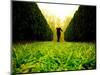 Walking through Garden Maze-Jan Lakey-Mounted Photographic Print