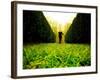 Walking through Garden Maze-Jan Lakey-Framed Photographic Print