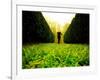 Walking through Garden Maze-Jan Lakey-Framed Photographic Print