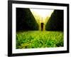 Walking through Garden Maze-Jan Lakey-Framed Photographic Print