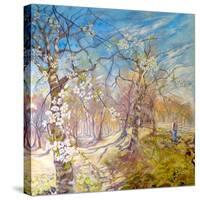 Walking Through The Blossom-Mary Smith-Stretched Canvas