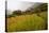 Walking Through the Terraced Rice Fields. Vietnam, Indochina-Tom Norring-Stretched Canvas