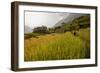 Walking Through the Terraced Rice Fields. Vietnam, Indochina-Tom Norring-Framed Photographic Print