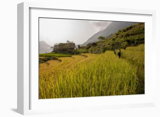 Walking Through the Terraced Rice Fields. Vietnam, Indochina-Tom Norring-Framed Photographic Print