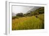 Walking Through the Terraced Rice Fields. Vietnam, Indochina-Tom Norring-Framed Photographic Print