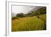 Walking Through the Terraced Rice Fields. Vietnam, Indochina-Tom Norring-Framed Photographic Print