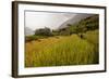 Walking Through the Terraced Rice Fields. Vietnam, Indochina-Tom Norring-Framed Photographic Print