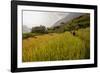 Walking Through the Terraced Rice Fields. Vietnam, Indochina-Tom Norring-Framed Photographic Print