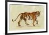 Walking Tiger-Silvia Vassileva-Framed Art Print