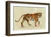 Walking Tiger-Silvia Vassileva-Framed Art Print