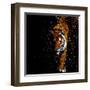 Walking Tiger-null-Framed Art Print