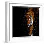 Walking Tiger-null-Framed Art Print