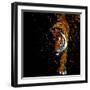 Walking Tiger-null-Framed Art Print