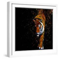 Walking Tiger-null-Framed Art Print