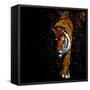 Walking Tiger-null-Framed Stretched Canvas