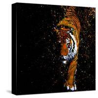 Walking Tiger-null-Stretched Canvas