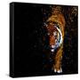 Walking Tiger-null-Framed Stretched Canvas