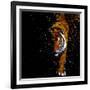 Walking Tiger-null-Framed Art Print