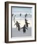 Walking to enter the sea during early morning. Gentoo Penguin in the Falkland Islands in January.-Martin Zwick-Framed Photographic Print