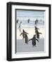 Walking to enter the sea during early morning. Gentoo Penguin in the Falkland Islands in January.-Martin Zwick-Framed Photographic Print
