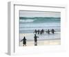 Walking to enter the sea during early morning. Gentoo Penguin in the Falkland Islands in January.-Martin Zwick-Framed Photographic Print