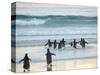 Walking to enter the sea during early morning. Gentoo Penguin in the Falkland Islands in January.-Martin Zwick-Stretched Canvas