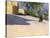 Walking to Work, Yazd-Bob Brown-Stretched Canvas
