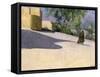 Walking to Work, Yazd-Bob Brown-Framed Stretched Canvas