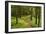 Walking Trail, Hochkopf, Near Schonau, Black Forest, Baden-Wurttemberg, Germany, Europe-Jochen Schlenker-Framed Photographic Print