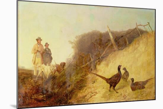 Walking Up Pheasants on the 1st of October (See also 63636)-Richard Ansdell-Mounted Giclee Print