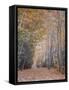 Walking-Moises Levy-Framed Stretched Canvas