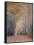 Walking-Moises Levy-Framed Stretched Canvas