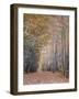 Walking-Moises Levy-Framed Photographic Print