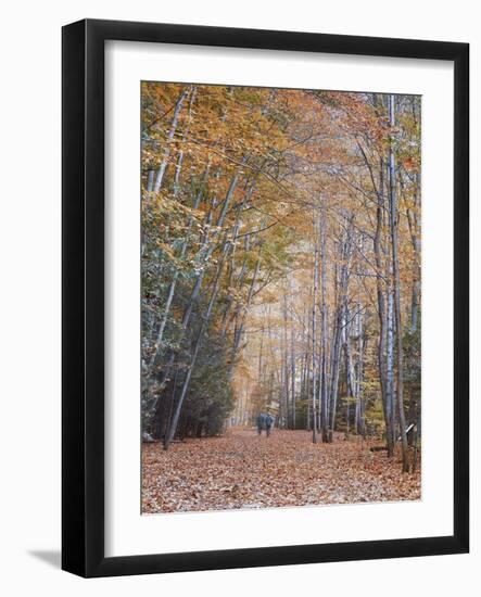 Walking-Moises Levy-Framed Photographic Print