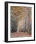 Walking-Moises Levy-Framed Photographic Print