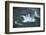 Walkway and Devil's Throat, Iguazu Falls, on Brazil, Argentina Border-David Wall-Framed Photographic Print