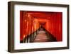 Walkway between Torii Gates-searagen-Framed Photographic Print