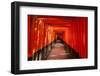 Walkway between Torii Gates-searagen-Framed Photographic Print