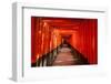 Walkway between Torii Gates-searagen-Framed Photographic Print