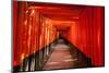 Walkway between Torii Gates-searagen-Mounted Photographic Print